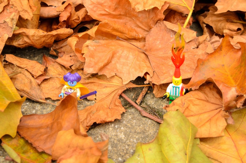 Two Lego figures in the autumn leaves