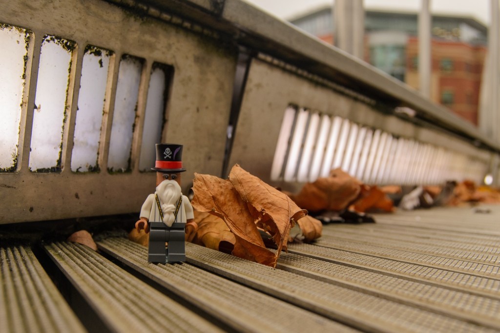 Witch doctor Lego figure in the autumn leaves on the millennium beach?